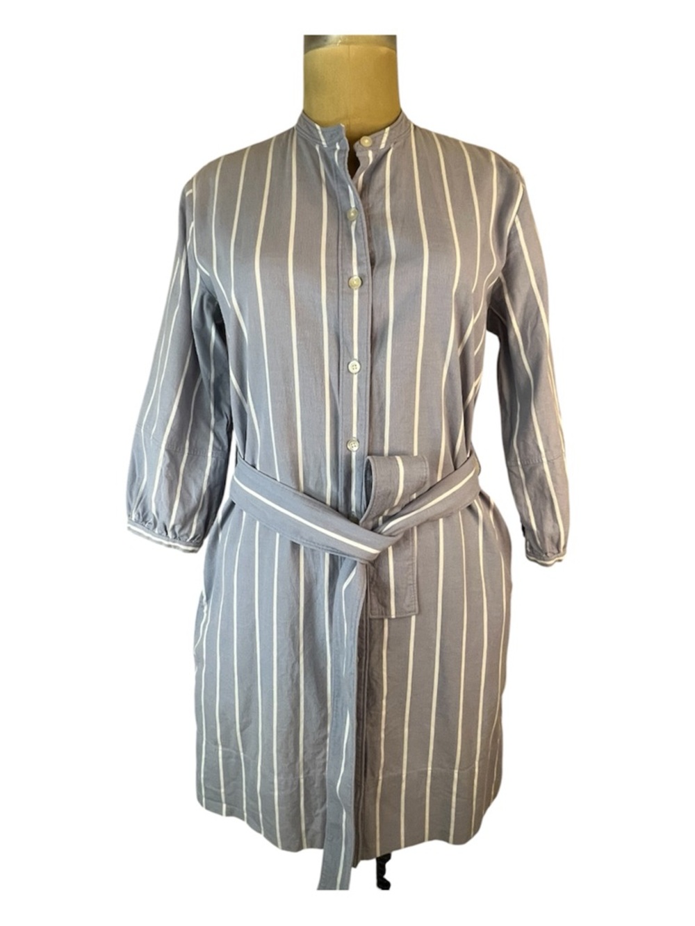 Everlane Bluegray and White Striped Belted Mini Shirt Dress